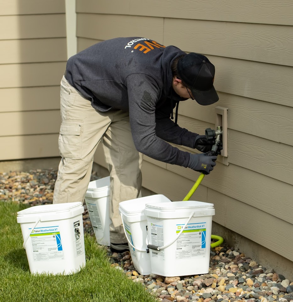 Rove Pest Control project