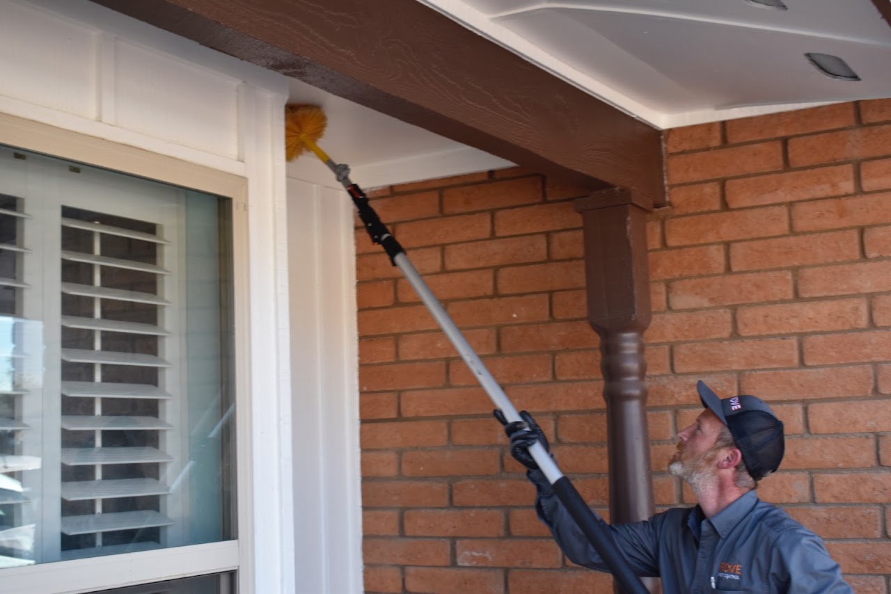 Rove Pest Control project